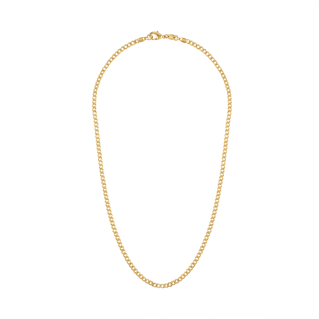 olivia le candace gold curb chain necklace